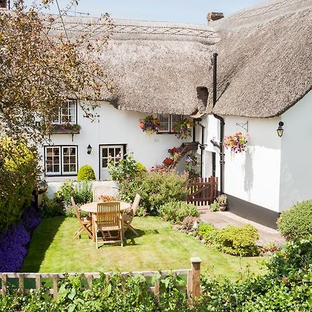 Farmhouse Cottage Sidmouth Dış mekan fotoğraf